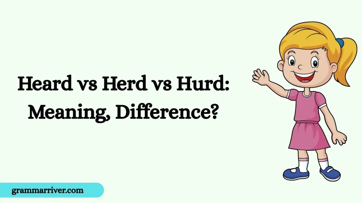 Heard vs Herd vs Hurd: Meaning, Difference?