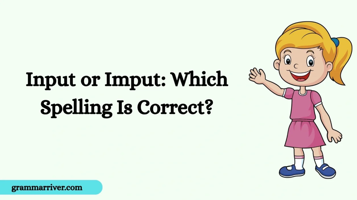 Input or Imput: Which Spelling Is Correct?
