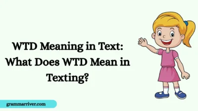 WTD Meaning in Text