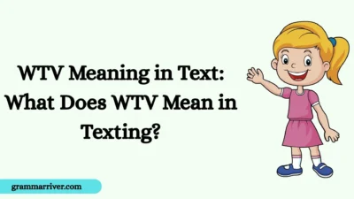 WTV Meaning in Text: What Does WTV Mean in Texting?